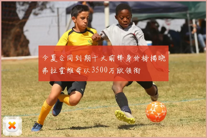 今夏合同到期十大前锋身价榜揭晓弗拉霍维奇以3500万欧领衔
